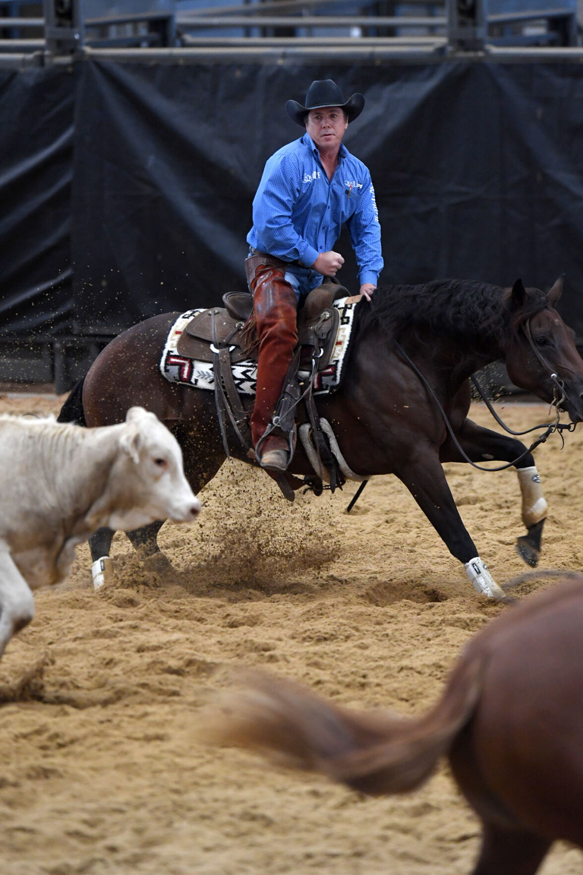 Michelle Lynn Holsey Foundation NCHA Cutting & Benefit